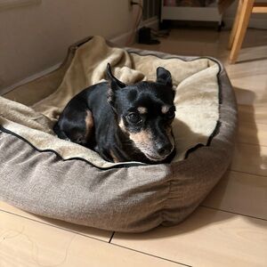 Meet your Posher, James